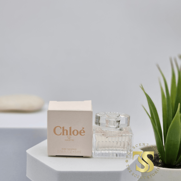 Chloe Rose Tangerine